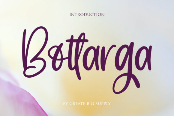 Bottarga: A Relaxed Handwritten Typeface for Editorial Design