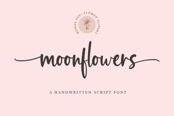 Moonflowers Font: A Sweet Script for Branding