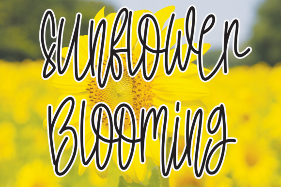 Sunflower Blooming: A Handwritten Font for Marketers