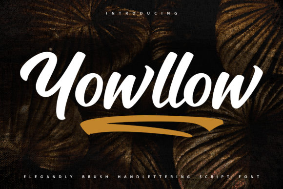 Yowllow Typeface Review: Bold Handwritten Style for Branding